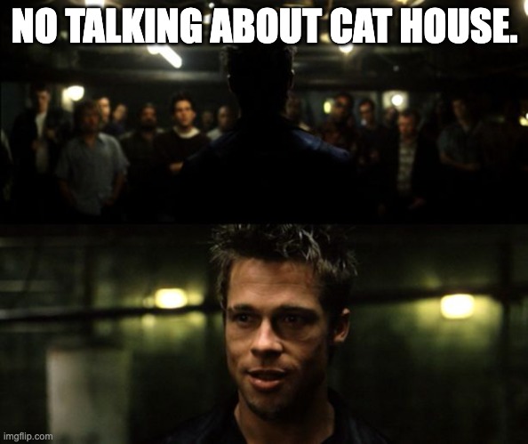 Cat House Foundation